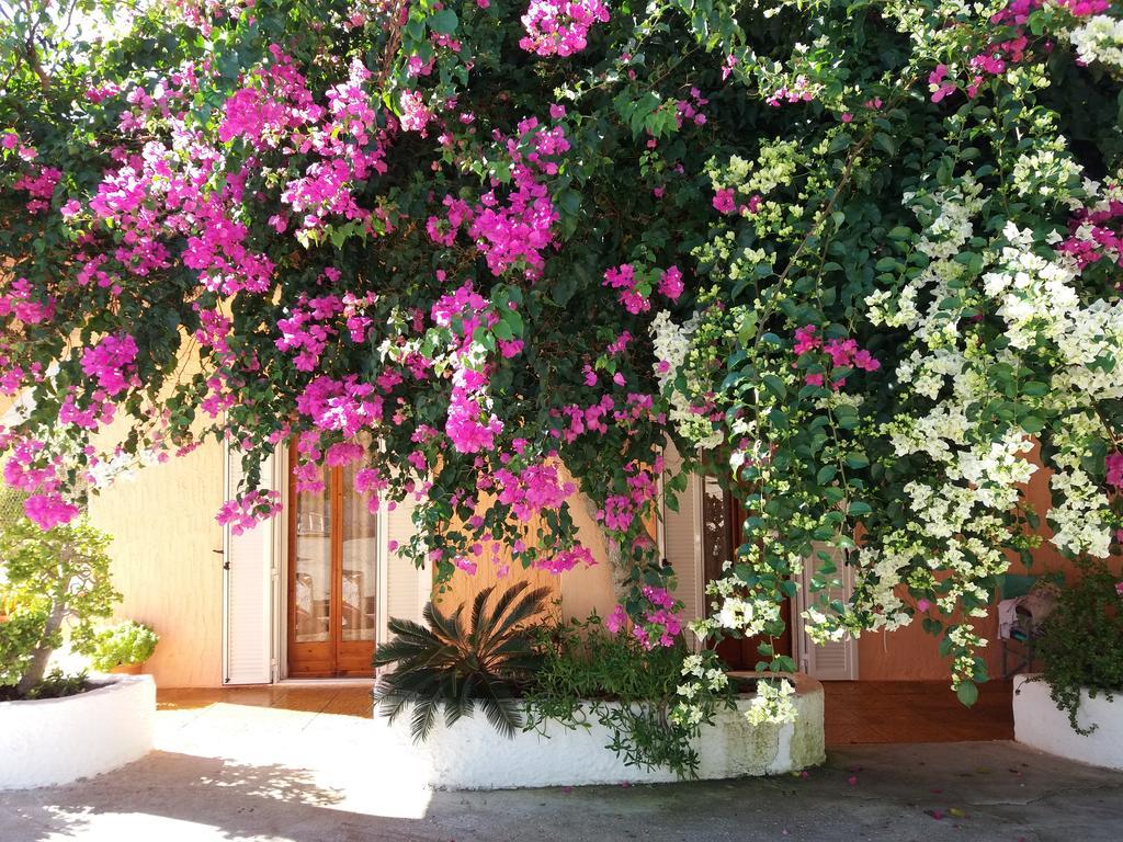 Constantinos Apartments Lassi  Exteriér fotografie