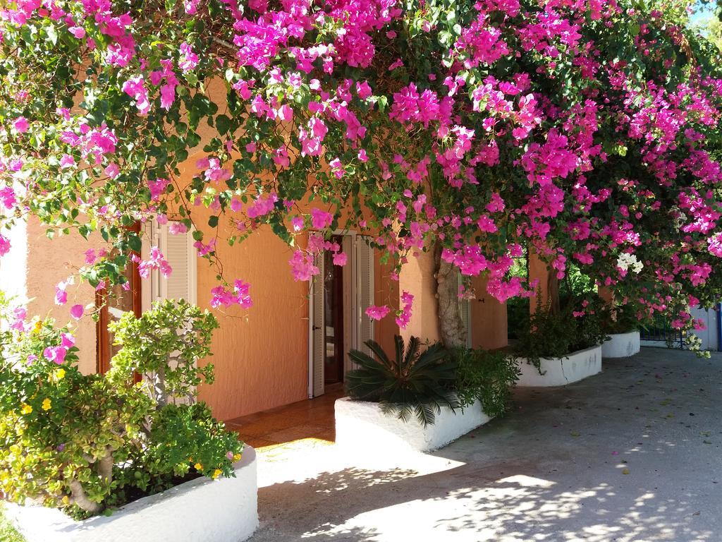 Constantinos Apartments Lassi  Exteriér fotografie