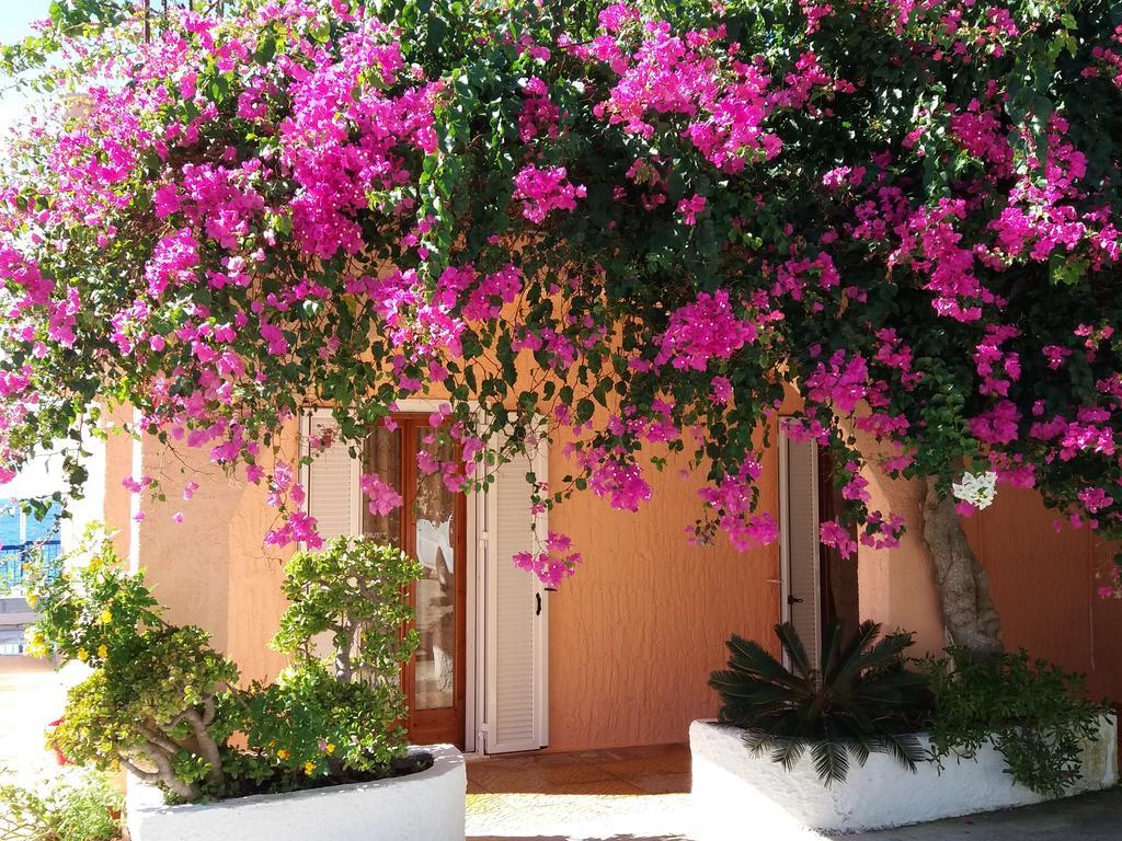 Constantinos Apartments Lassi  Exteriér fotografie